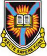 ui logo