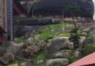 Where the Rock Remembers: A Journey to Olumo